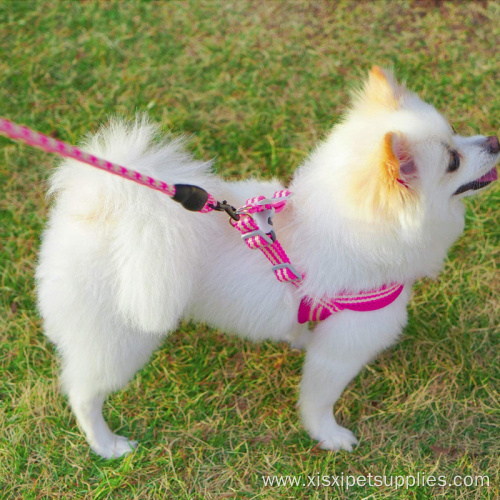 Harness And Leash Set Designer Nylon Mesh Harnesses